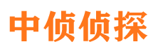 文圣市私家侦探